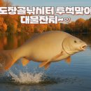 도장골낚시터 이미지