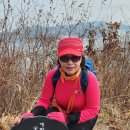 섬마을목장 이미지