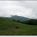 대송목장 이미지