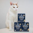 강아지 고양이 프리미엄 유산균 닥터페렌들리 맥스바이옴 성분 기호성