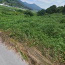 예천공인중개사사무소 이미지