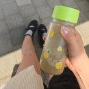 아디다스운동화 아디폼 메가제인 230 후기