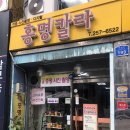 홍명코닥칼라