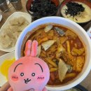 2월 일상 찵려옴 (※야선주의※)
