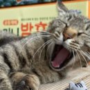 땅끝전자 - 해남군 남부순환로 134 | 땅끝전자