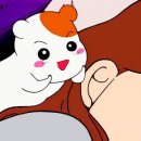 대한환경개발 | 루퍼스 3기 수료 후기 — 개발은 취향이다