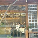 경주 오원스테이 황리단길 한옥 독채 내돈내산 후기 (자쿠지,불멍)