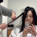 코르브(CORVE) 이미지