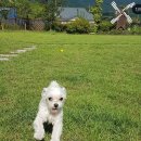 더락펜션 이미지