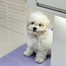 렌즈미 아산배방점 이미지