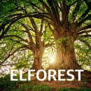엘포레스트ELFOREST