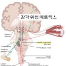 협응반사아카데미 | (대전자세교정)신부웨딩케어를 통한 아름다운 부부 탄생 축하