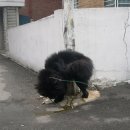 풍경동물병원 이미지