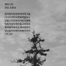 깨비깨비