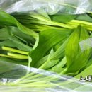 노내골농장 이미지