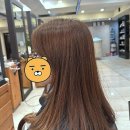 닉 피시카페 목동점 | 목동미용실 유목민 생활 청산! 인생 레이어드컷 찾은 후기 썰 풉니다