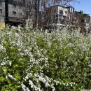 타코몰리(부천점) 이미지