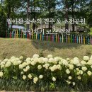 [진주 가볼만한곳] 진주 수국축제 월아산 숲속의 진주 &amp; 초전공원 당일치기 코스 추천!
