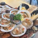 오이도조개92별관 | 오이도 조개구이 맛집 오이도조개92본점 내돈내산 후기