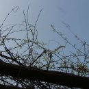 이태원초교 이미지