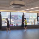 알파복싱 이미지