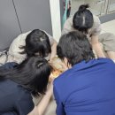 용인24시동물병원, 아찔했던 강아지 안구돌출 치료 과정