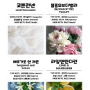 센트럽잇 이미지