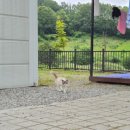 아이뜰관광농원 이미지