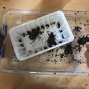 장수세차장 이미지