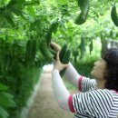 강진슈퍼 이미지