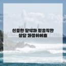 희망보청기 이미지