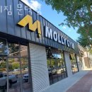 몰리짐 문덕 이미지