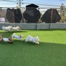 중원유치원 네이버블로그