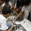 갯벌의 추억 이미지