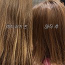 상갈 볼륨매직 잘하는 미용실 '헤어날드 기흥점' 지은원장님 후기