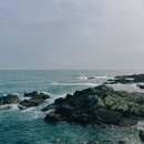해피파인더