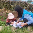 약산면-1 이미지