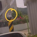 감꽃향흩날리는 이미지