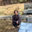 일등농약종묘도매상사 이미지