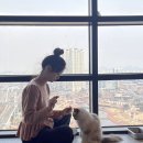 카페도심 이미지