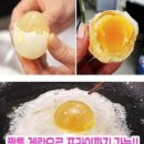 삼풍음식백화점 이미지