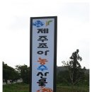 제주조아농수산