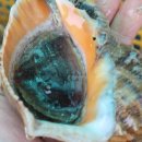 스토어소라 이미지