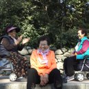 희선축사 이미지