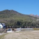 풀뿌리게스트하우스 이미지