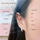 1985마켓 | 건대피어싱 댕글링피어싱 커먼그라운드 건대점 첫 피어싱 후기 l 부위·통증·착용샷