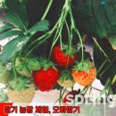 행구농장 이미지