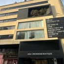 그레이스동물병원 - 강남구 학동로6길 18 | 그레이스동물병원