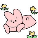 별빛농장 이미지