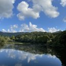 인세목장 | [공익목적] 블로그 협찬 관련 다단계 조심!! (직접 겪은 사례) (+추가)